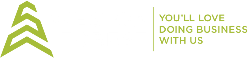 Web Design Company in Canada & USA | SEO-Friendly Websites – Web 6 Solutions