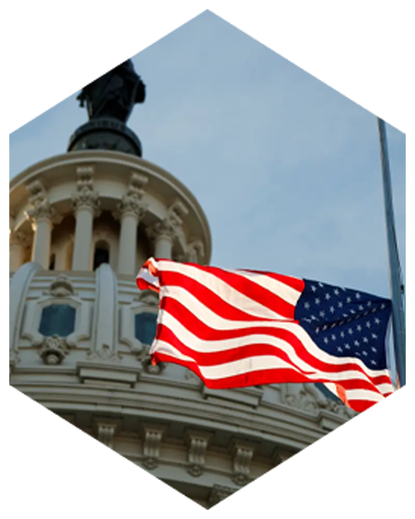 Web Design Company in Canada & USA | SEO-Friendly Websites – Web 6 Solutions