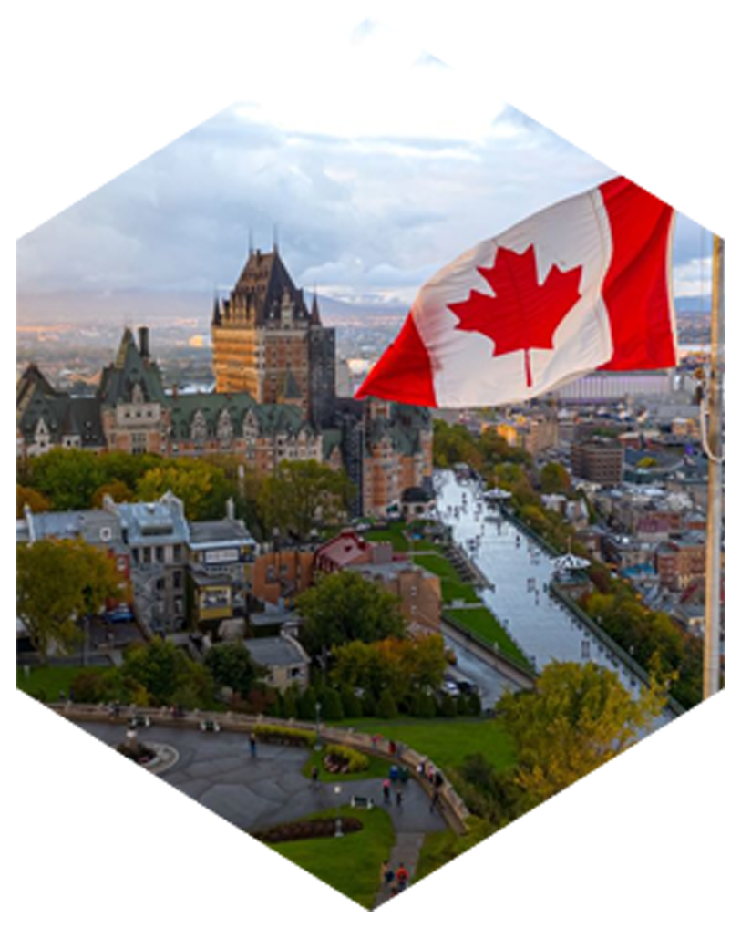 Web Design Company in Canada & USA | SEO-Friendly Websites – Web 6 Solutions