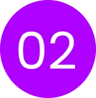 Web Design Company in Canada & USA | SEO-Friendly Websites – Web 6 Solutions