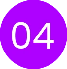 Web Design Company in Canada & USA | SEO-Friendly Websites – Web 6 Solutions