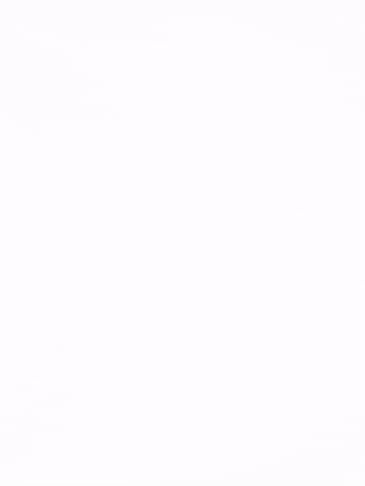 Web Design Company in Canada & USA | SEO-Friendly Websites – Web 6 Solutions