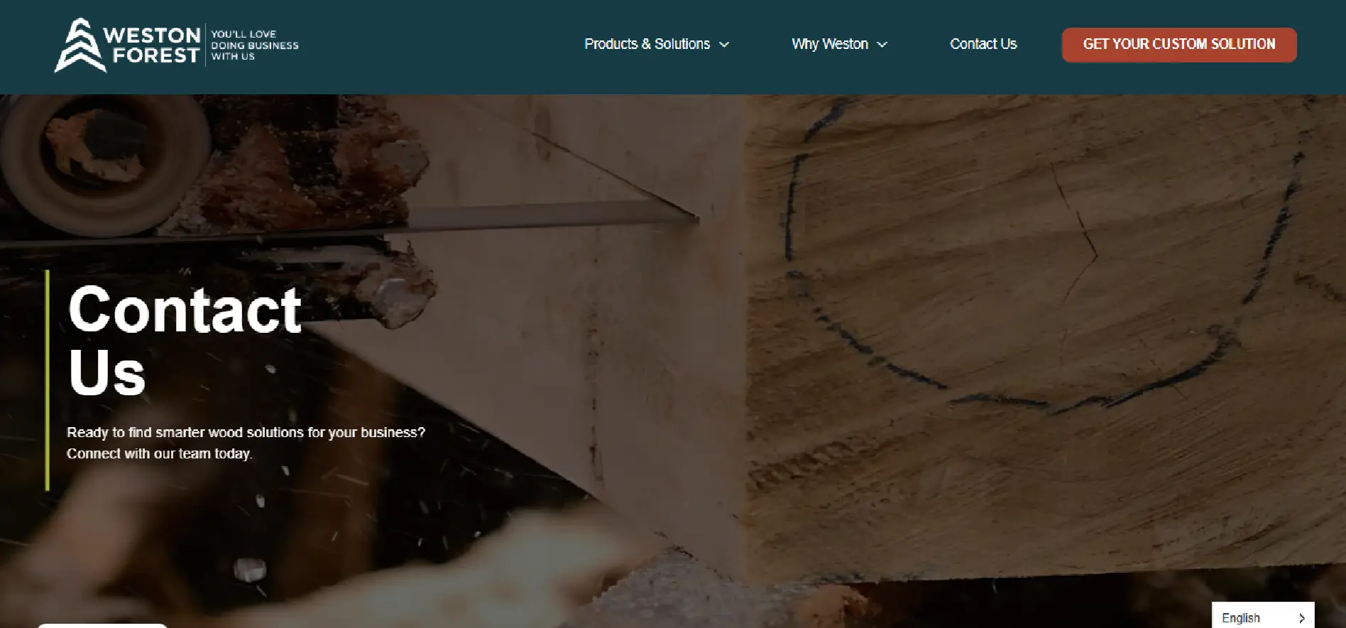 Web Design Company in Canada & USA | SEO-Friendly Websites – Web 6 Solutions