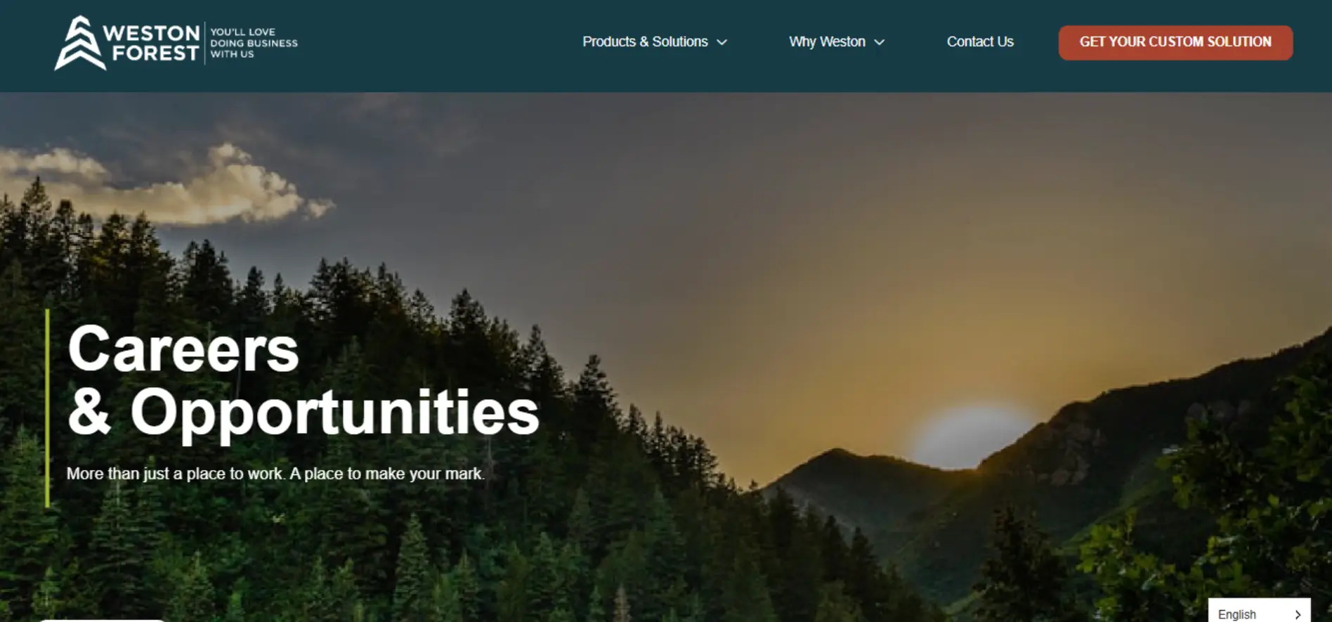 Web Design Company in Canada & USA | SEO-Friendly Websites – Web 6 Solutions