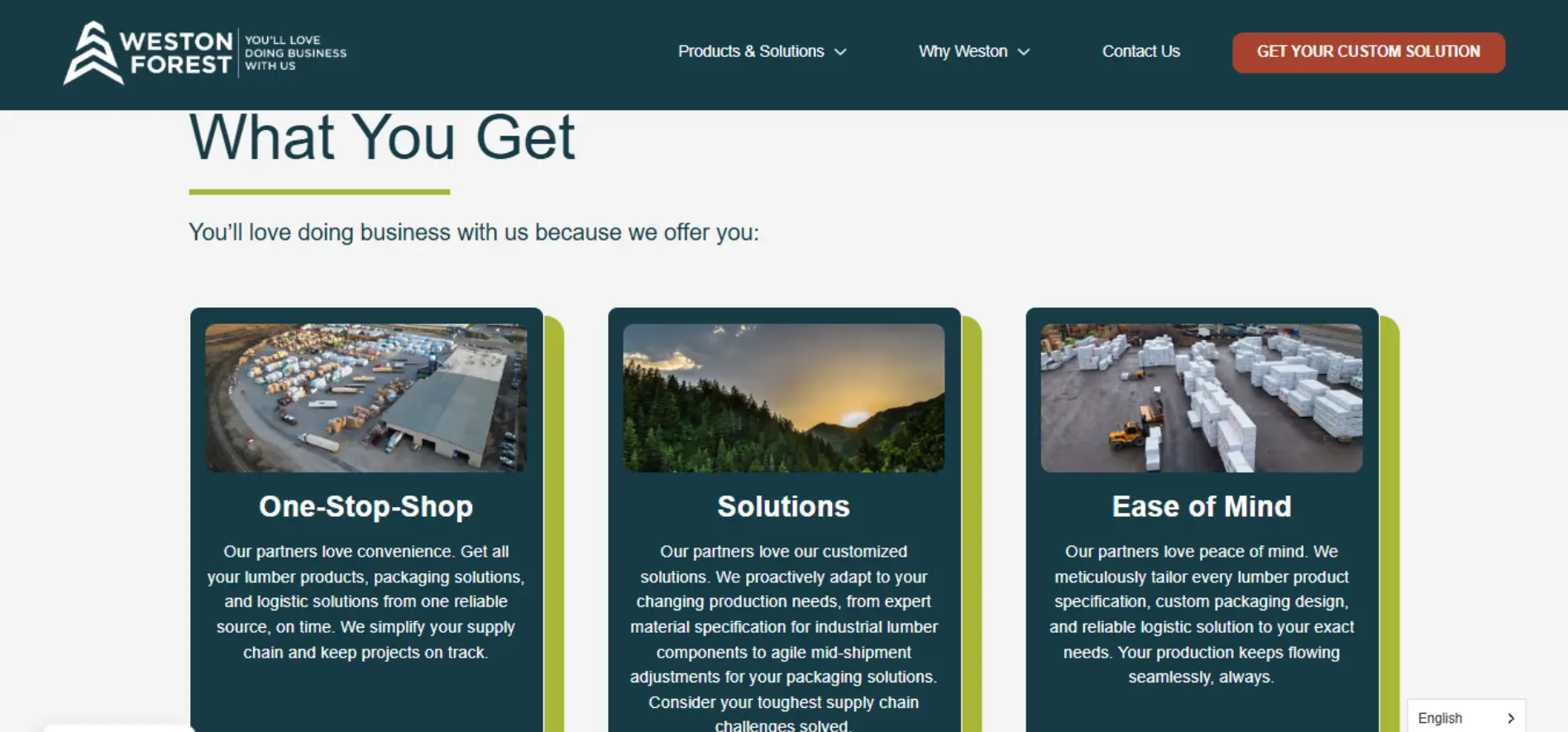 Web Design Company in Canada & USA | SEO-Friendly Websites – Web 6 Solutions