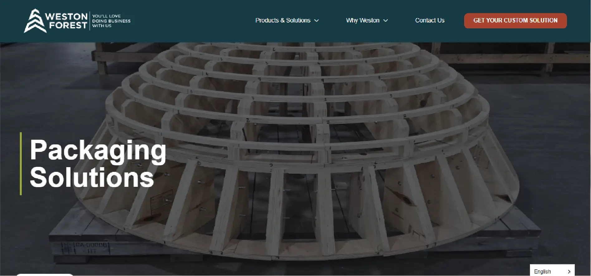 Web Design Company in Canada & USA | SEO-Friendly Websites – Web 6 Solutions