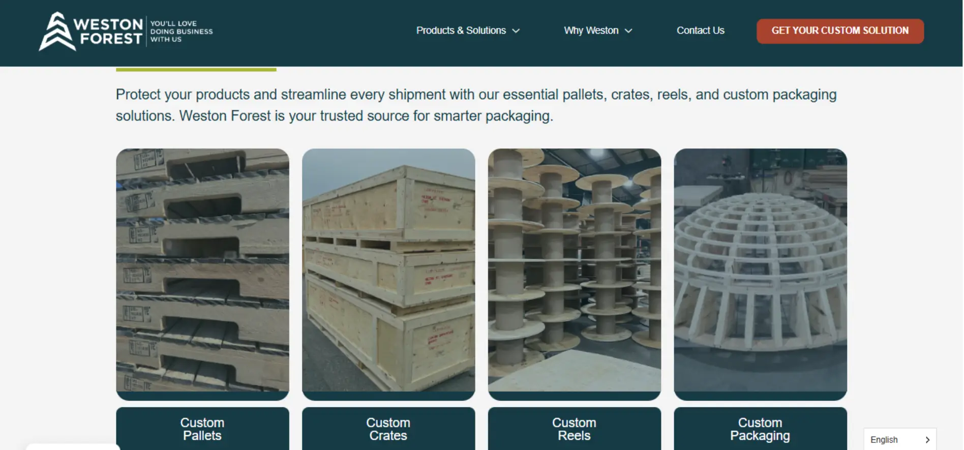 Web Design Company in Canada & USA | SEO-Friendly Websites – Web 6 Solutions