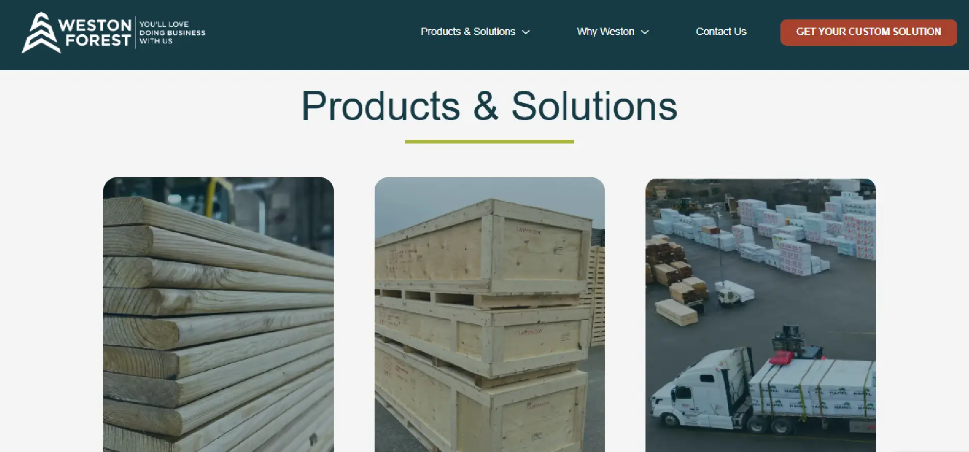 Web Design Company in Canada & USA | SEO-Friendly Websites – Web 6 Solutions