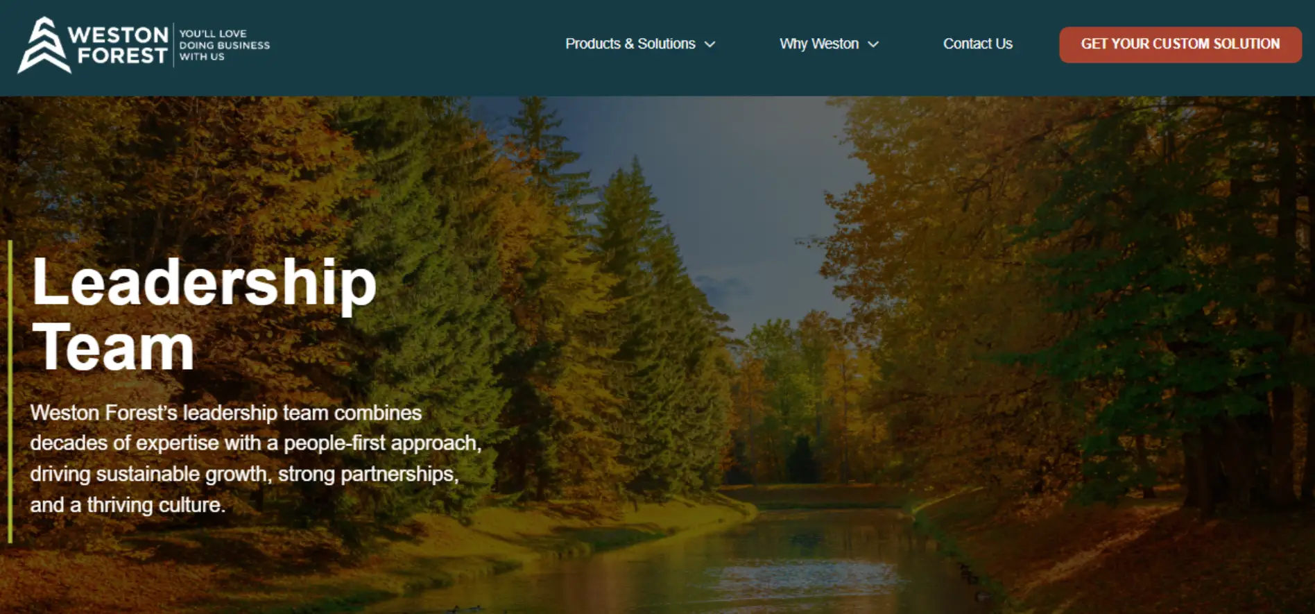 Web Design Company in Canada & USA | SEO-Friendly Websites – Web 6 Solutions