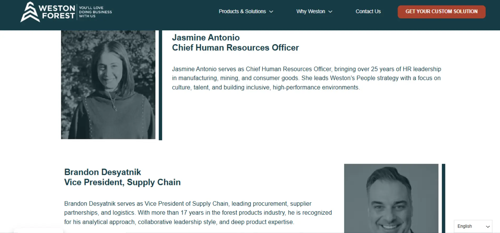 Web Design Company in Canada & USA | SEO-Friendly Websites – Web 6 Solutions