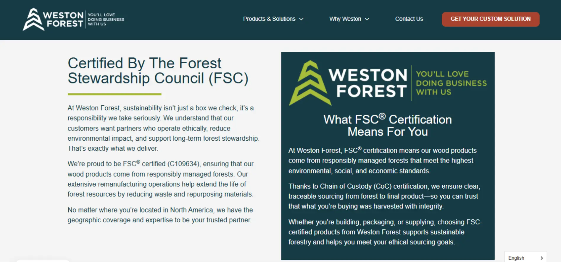 Web Design Company in Canada & USA | SEO-Friendly Websites – Web 6 Solutions