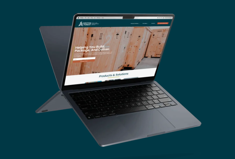 Web Design Company in Canada & USA | SEO-Friendly Websites – Web 6 Solutions