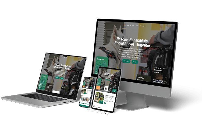 Web Design Company in Canada & USA | SEO-Friendly Websites – Web 6 Solutions